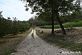 VBS_5430 - C'è un mare di velluto verde! E tu che sognavi di andare lontano... Quanta meraviglia, quì!